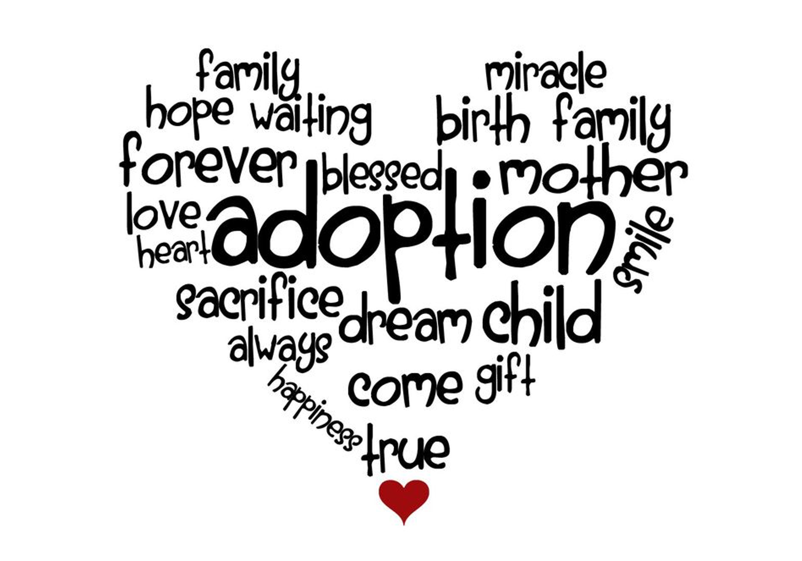 Domestic Adoption photo