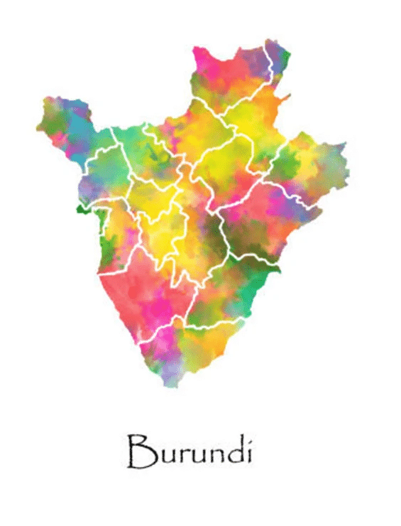 Little Brother photo