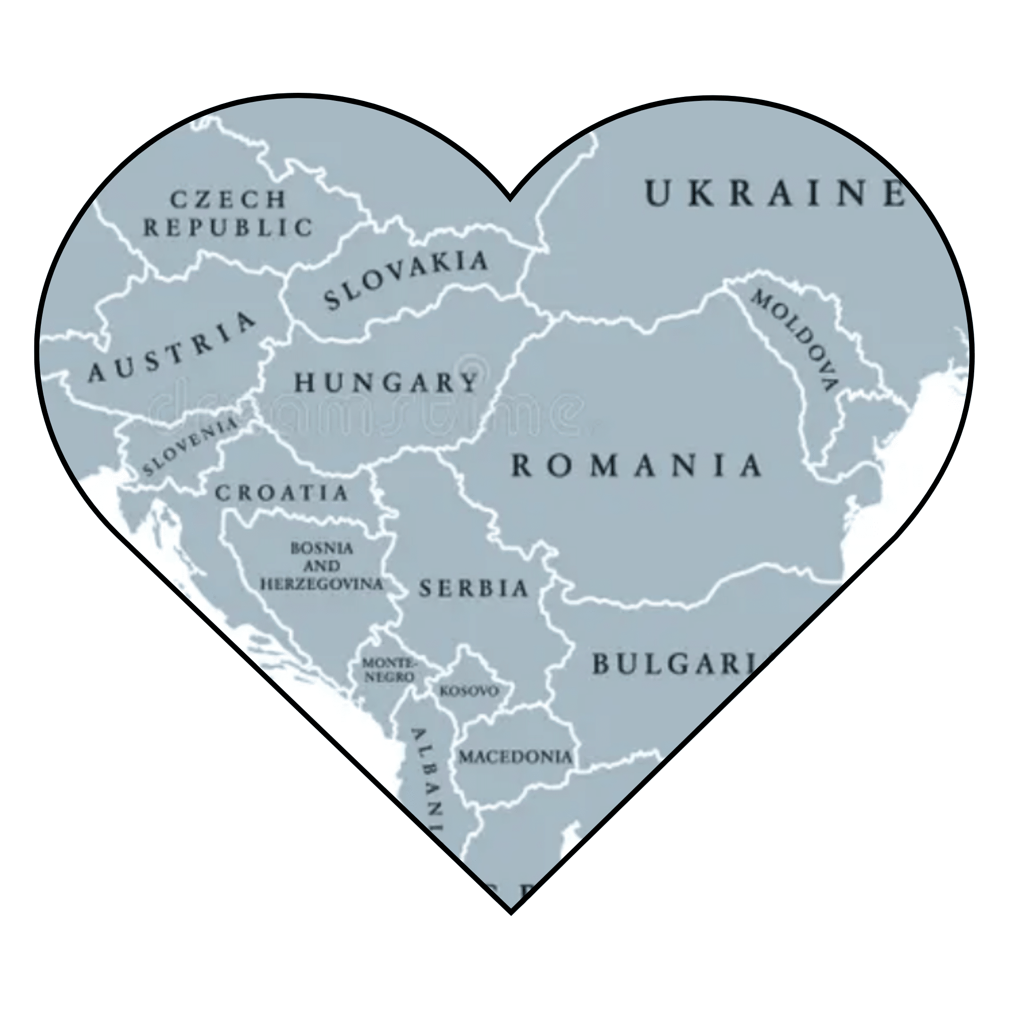 4-year-old Boy photo