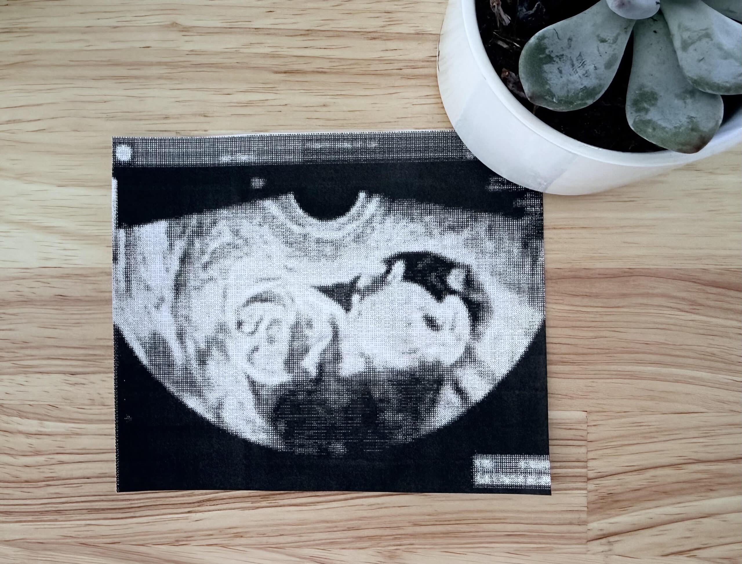 Baby Nelson photo